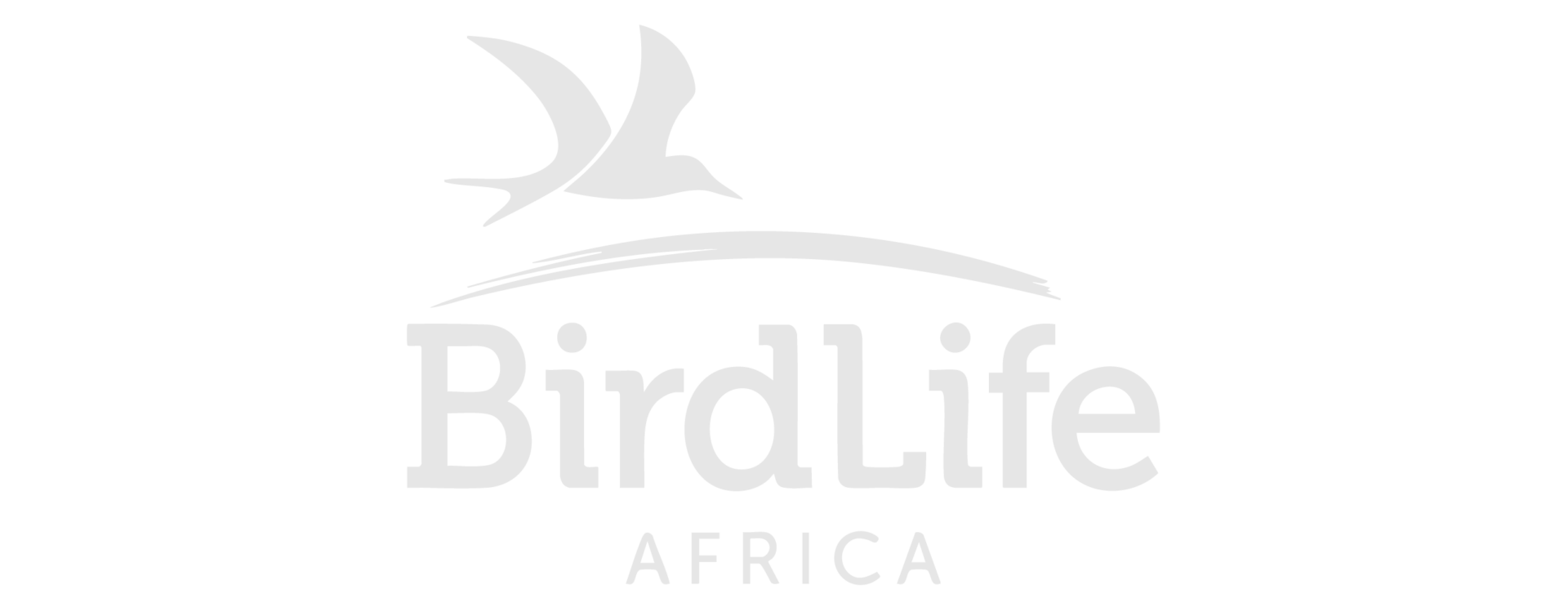 The Birding Life